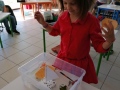 IMG_20200519_110354
